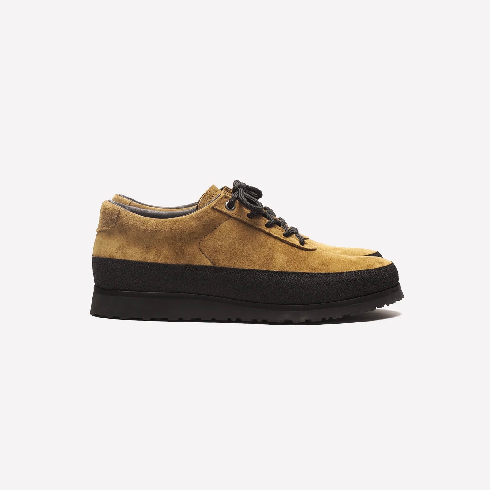 Explorer ochre