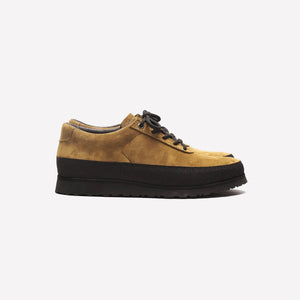 Explorer ochre