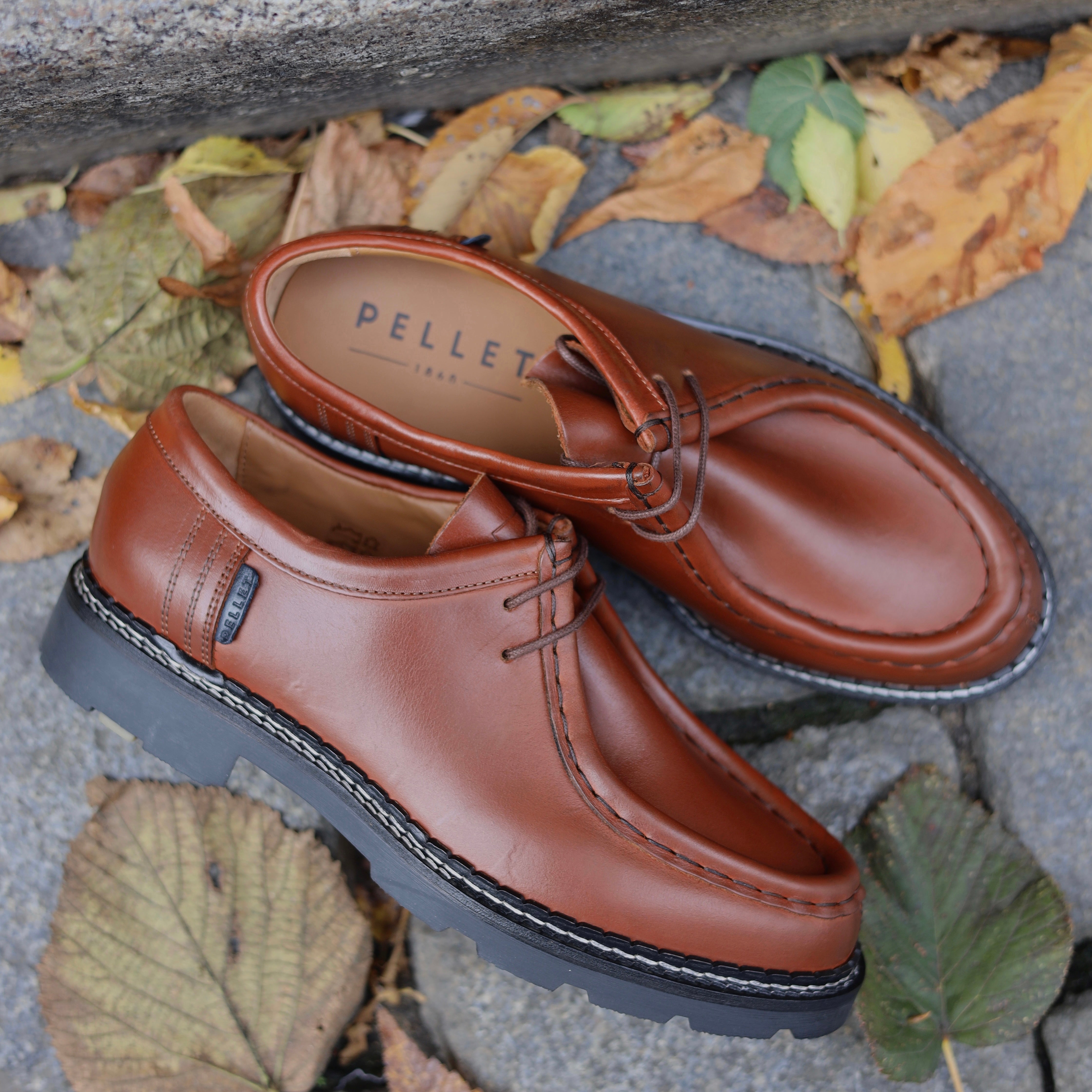 Derby brandy MACHO par Pellet