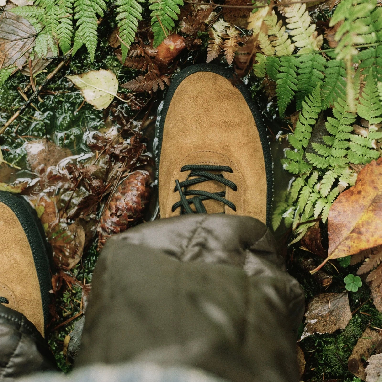Explorer ochre